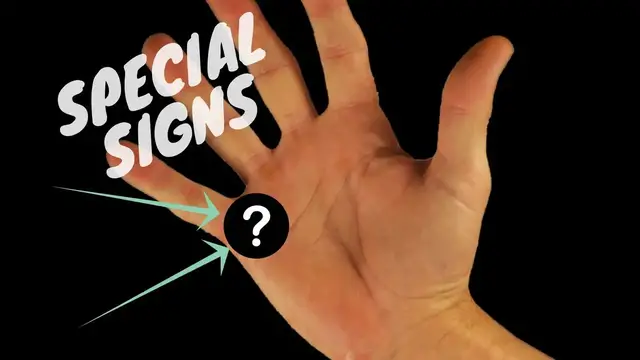 Video thumbnail for Exceptional Money Making Signs On The Mount Of Mercury-Palmistry