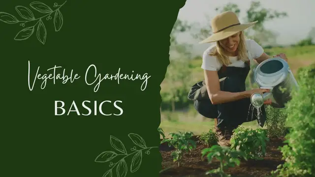 Video thumbnail for Green Modern Gardening