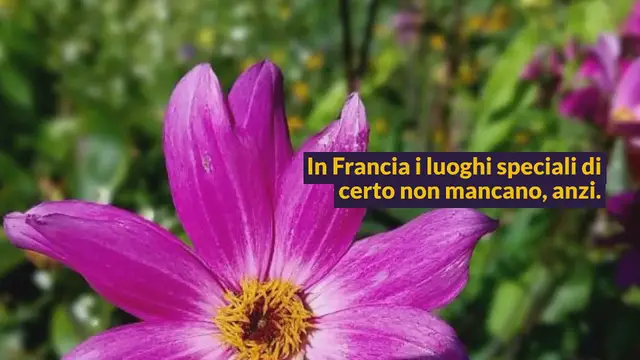 Video thumbnail for LA CASA DI MONET E I GIARDINI A GIVERNY: TUTTO QUELLO DA SAPERE