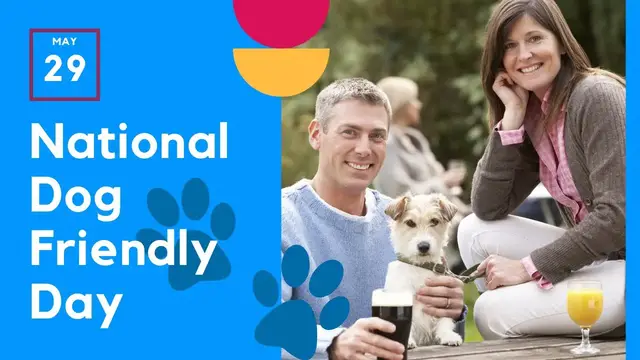 'Video thumbnail for National Dog Friendly Day - May 29th'