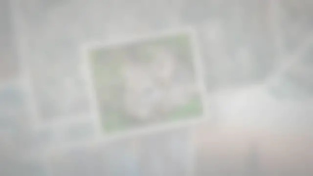 Video thumbnail for Do Chinchillas Smell? How Bad Do They Stink?