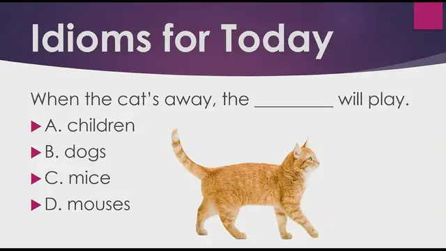 Video thumbnail for Idioms for Today:  When the Cat's Away