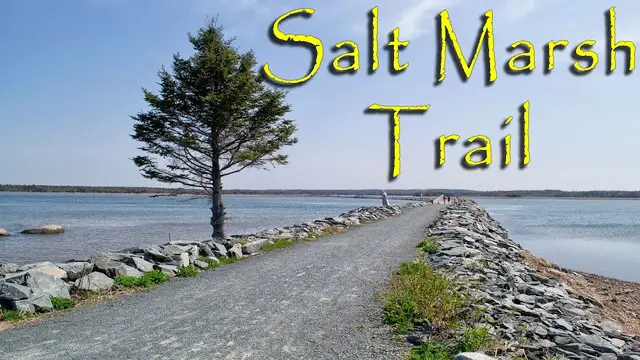 Video thumbnail for The Salt Marsh Trail, Nova Scotia
