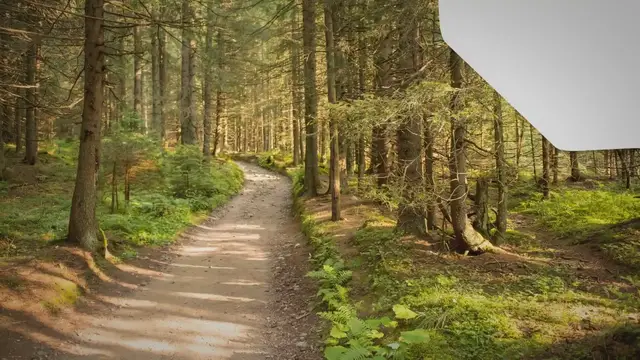 Video thumbnail for Do Girl Scouts of America Allow Transgender Youths to Join?