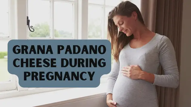 Video thumbnail for Grana padano cheese during pregnancy
