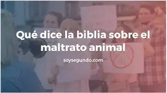 Video thumbnail for Qué dice la biblia sobre el maltrato animal