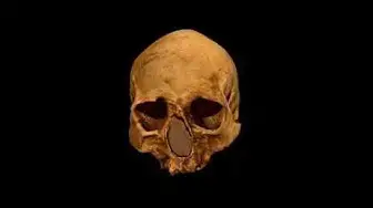 Video thumbnail for Antropología y Prehistoria: Cráneo Homosapiens - ArteHistoria