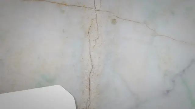 Video thumbnail for The Theory of Biogenesis & Louis Pasteur: Definition & Development