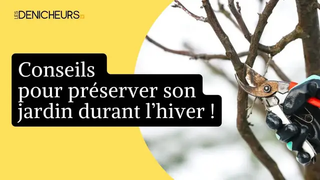 Video thumbnail for 👨‍🌾  9 choses à faire pour préserver son jardin durant l’hiver 🥶  🌿 🌨️