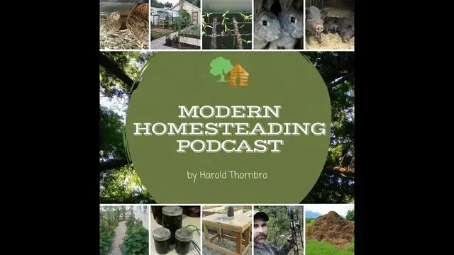 Video thumbnail for A Few Power Tools That Make Homesteading Easier - Modern Homesteading Podcast