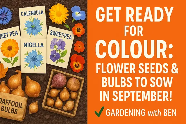 'Video thumbnail for Get Ready for Color: Flower Seeds and Bulbs to Sow in September!'