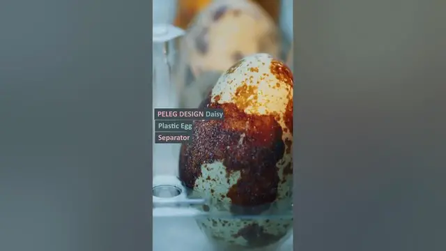 Video thumbnail for The Best Egg Separator You Must Have In 2023!