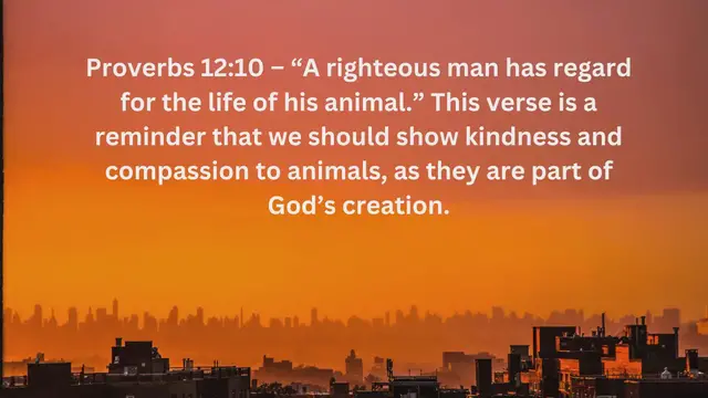 Video thumbnail for Bible Verses  What the Bible say about Animal Rights
