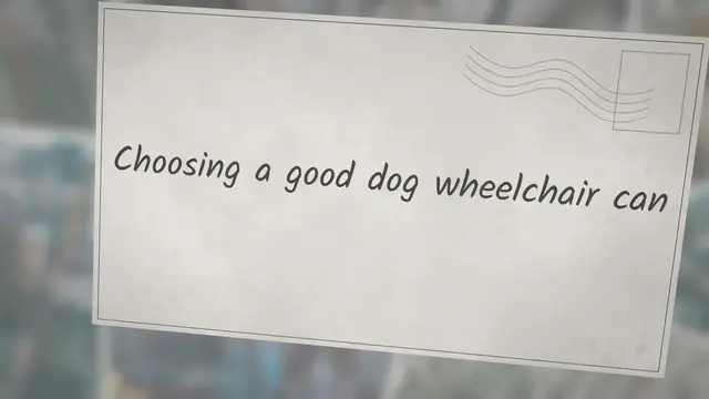Video thumbnail for What are the best dog wheelchairs?