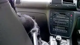 Video thumbnail for Ribchester Car Security System