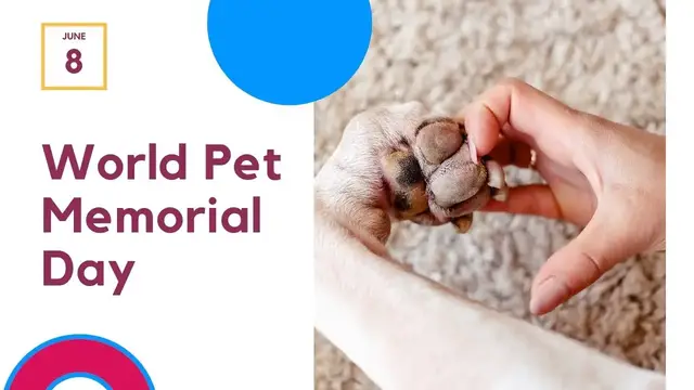 'Video thumbnail for World Pet Memorial Day: Remembering Our Beloved Pets'