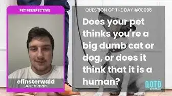 Video thumbnail for efinsterwald's dog believes his owner is also a dog. One of the pack!