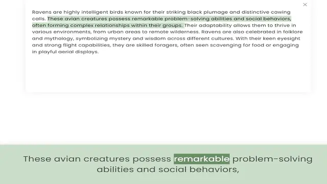 Video thumbnail for calls. These avian creatures possess remarkable problem-solving abilities and social behaviors, often forming complex relationships within their groups. Their adaptability allows them to thrive in various environments, from urban areas to