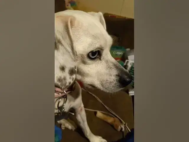 Video thumbnail for frwe medical stuff