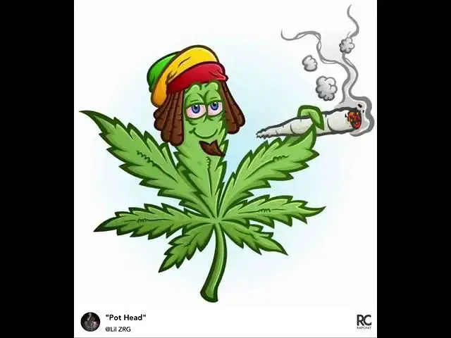 'Video thumbnail for POTHEAD'