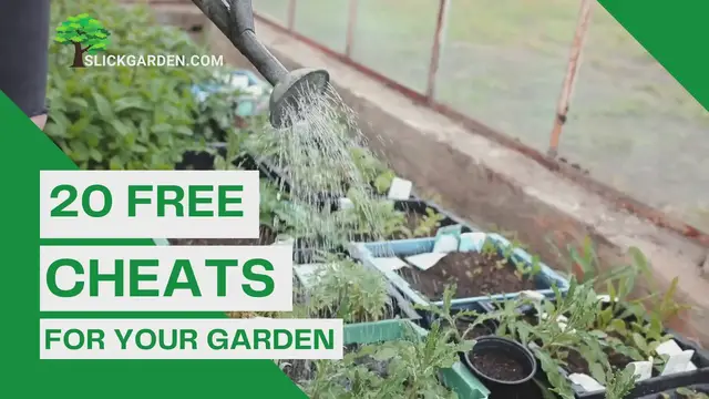 Video thumbnail for 20 FREE CHEATS FOR YOUR GARDEN