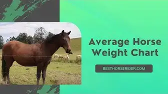 Video thumbnail for Average Horse Weight Chart