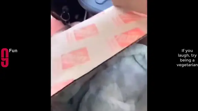 'Video thumbnail for TRY NOT TO LAUGH 😆 Best Funny Videos Compilation 😂😁😆 Memes PART 141 (1)'