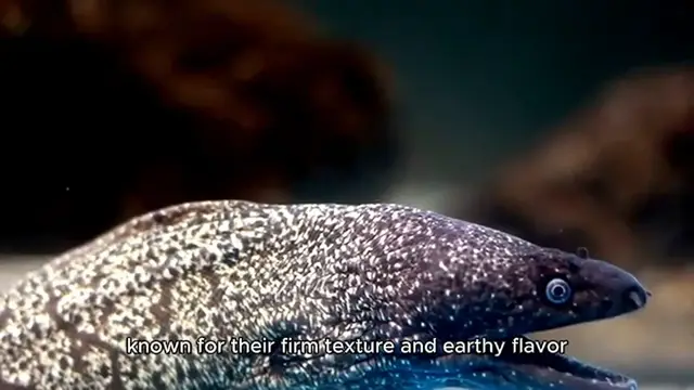 Video thumbnail for beluga lentils recipe