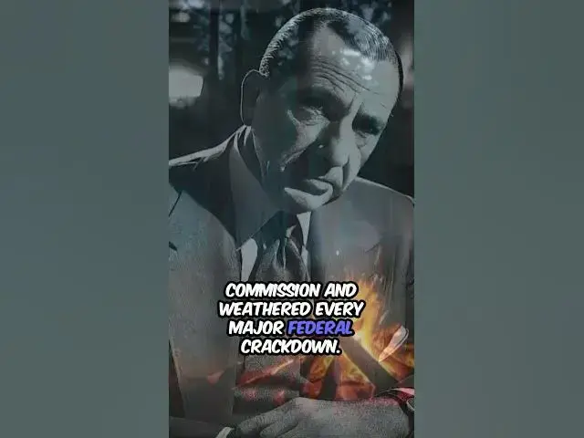 'Video thumbnail for The Rise and Fall of Crime Families #history #organizedcrime #crime #mafia #criminalactivity #facts'