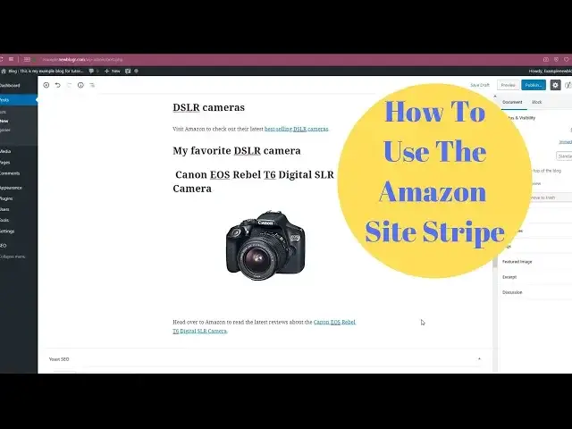 Video thumbnail for How to use the Amazon Site Stripe