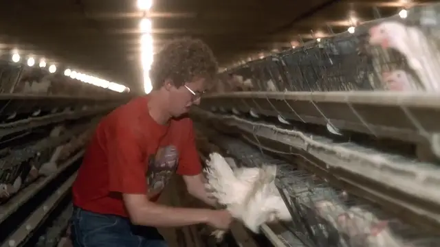 Video thumbnail for Big Mistakes Everyone Makes When Roasting Chicken