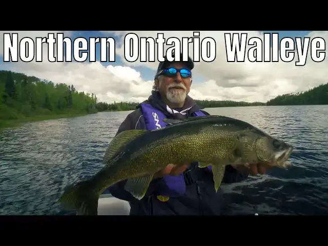 Video thumbnail for Giant Walleye in Northern Ontario | Fish'n Canada