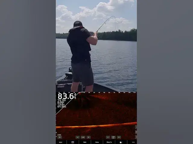 Video thumbnail for What kind of fish pulled drag like this?! #fishing #garminfishhunt