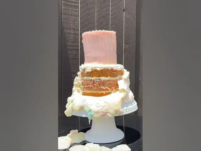 'Video thumbnail for How long until a cake melts in the sun? ☀️ #shorts'