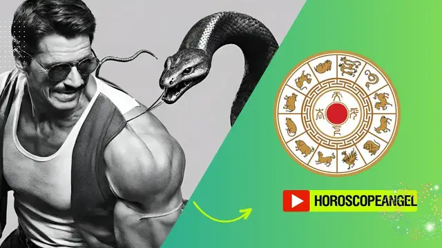 Video thumbnail for Man Snake in Chinese Zodiac: video blog