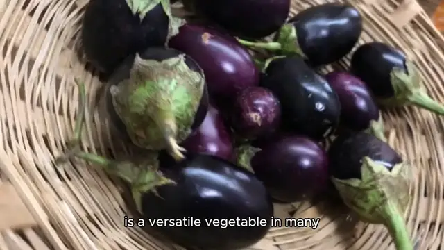 Video thumbnail for japanese eggplant recipe