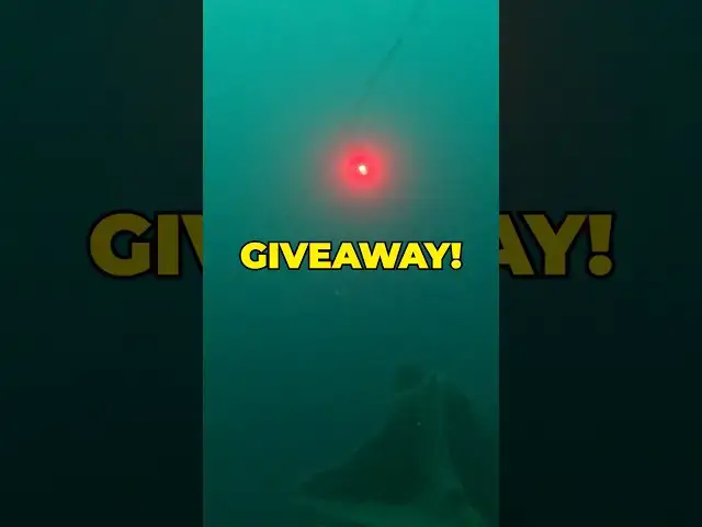Video thumbnail for GIVEAWAY - XTAR SD2 Dive BEacon
