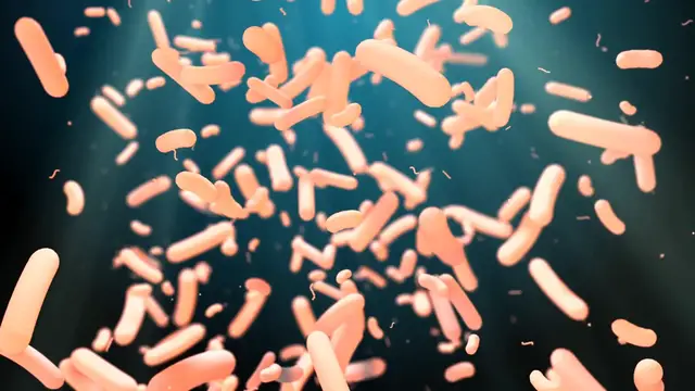 Video thumbnail for Así la IA descifra microbios en tiempo real