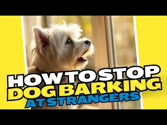 Video thumbnail for How To Stop Dog Barking At Strangers