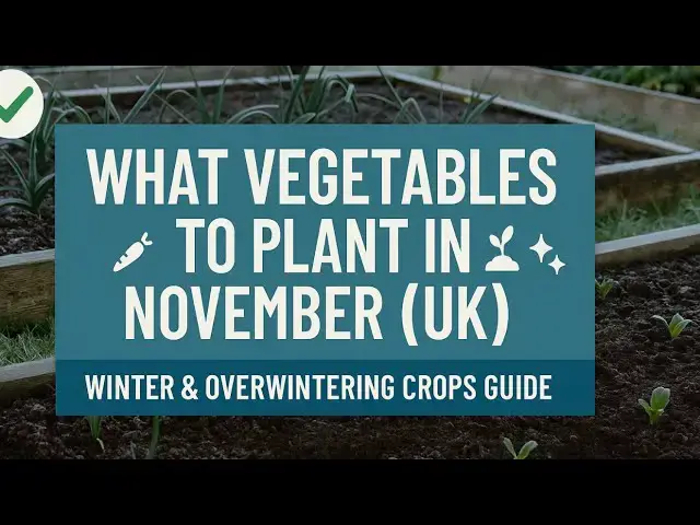 'Video thumbnail for 🎥 ✅ What Vegetables to Plant in November (UK) 🥕🌱 | Winter & Overwintering Crops Guide ❄️✨'