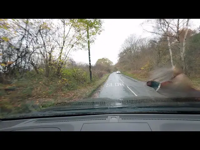 Video thumbnail for pheasant plucker