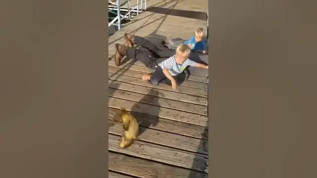 Video thumbnail for Catch of the Day: Fishing Memes#memes #fishing #fish #fishingmemes #catchoftheday