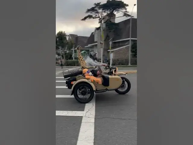 'Video thumbnail for Summer in San Diego'
