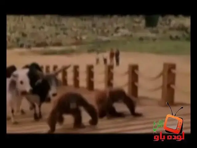 Video thumbnail for قصة نوح عليه السلام