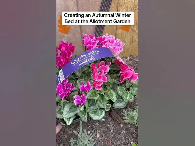 'Video thumbnail for 🍂❄️ Creating an Autumnal Winter Garden Bed ❄️🍂'