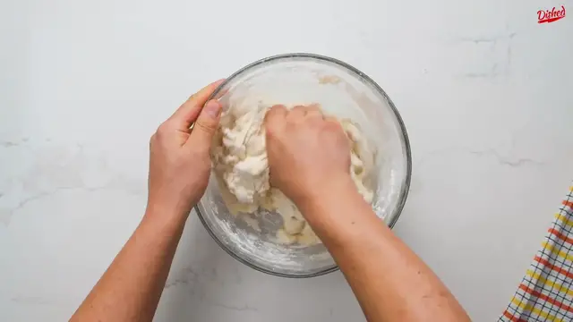 'Video thumbnail for Seitan Recipe for Beginners - How To Make TikTok Seitan Vegan Pulled Pork! (720p 24fps)'