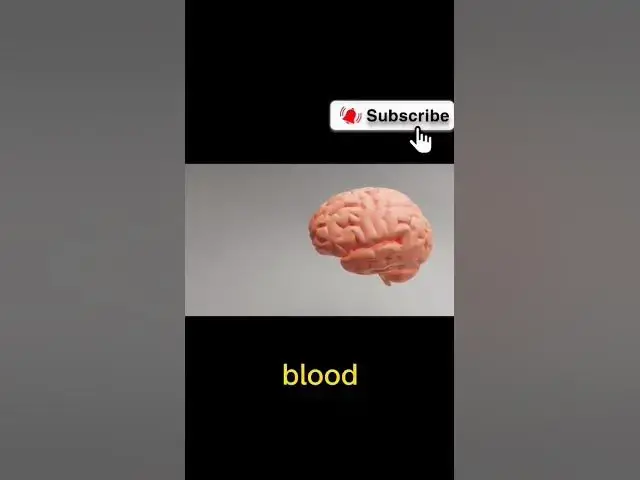 Video thumbnail for Facts About Brain #shorts