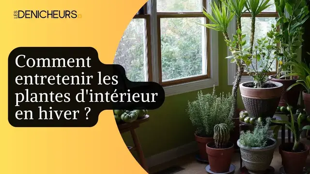 Video thumbnail for Jardiner en hiver : Faites prospérer vos plantes et légumes en intérieur