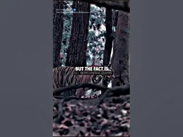 Video thumbnail for Sigma rule   ~ #1071080p