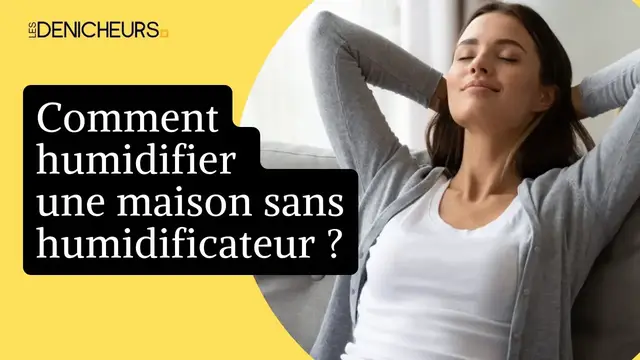 Video thumbnail for ⚕️  8 astuces naturelles pour humidifier une maison sans humidificateur 🏠